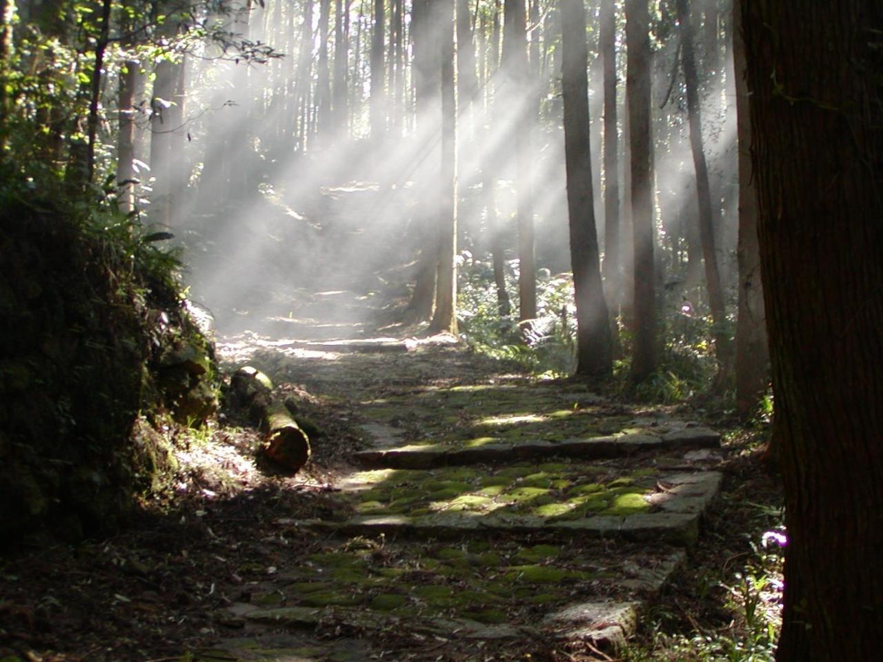 Hotel Nami Kumano Dış mekan fotoğraf